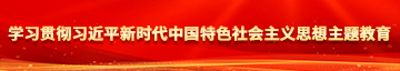 jj插骚bb视频学习贯彻习近平新时代中国特色社会主义思想主题教育